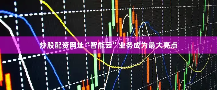 炒股配资网址“智能云”业务成为最大亮点
