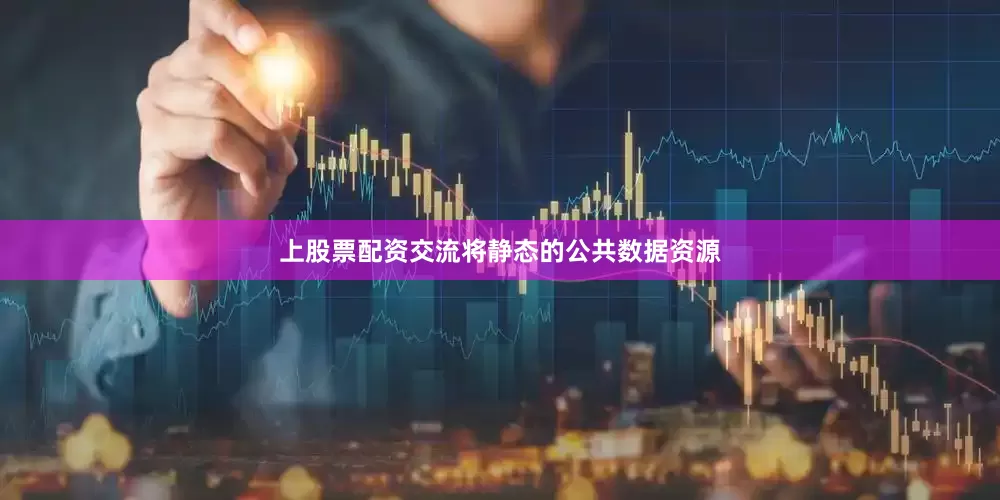 上股票配资交流将静态的公共数据资源