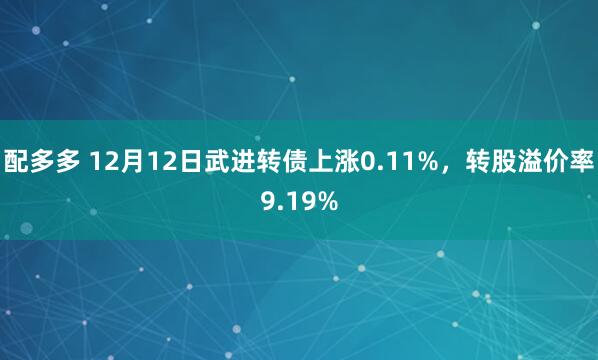 配多多 12月12日武进转债上涨0.11%，转股溢价率9.19%