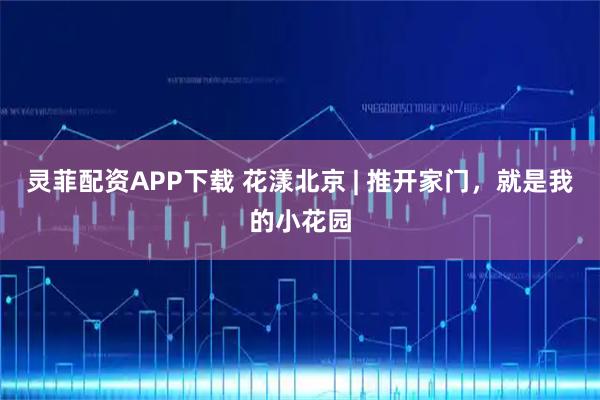 灵菲配资APP下载 花漾北京 | 推开家门，就是我的小花园
